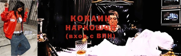 PSILOCYBIN Кулебаки
