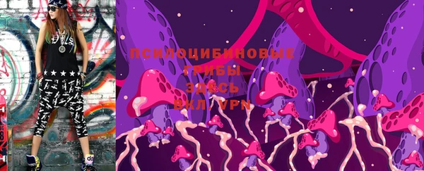 PSILOCYBIN Кулебаки