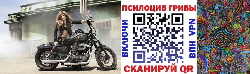 Галлюциногенные грибы ЛСД  Шилка 